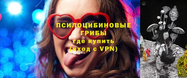 ешки Осинники