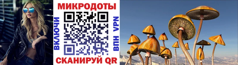 Псилоцибиновые грибы GOLDEN TEACHER  Ухта 